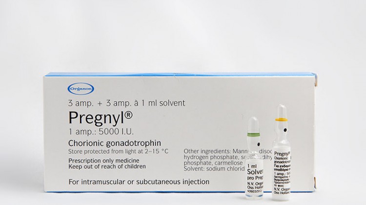 Usar HCG Entre Ciclos de Esteroides