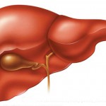 Esteroides Anabólicos, Función Hepática y Exámenes Sanguíneos AST y ALT