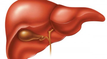 Esteroides Anabólicos, Función Hepática y Exámenes Sanguíneos AST y ALT