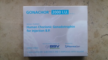 Consideraciones Básicas en la Planeación de un Ciclo de Esteroides Anabólicos