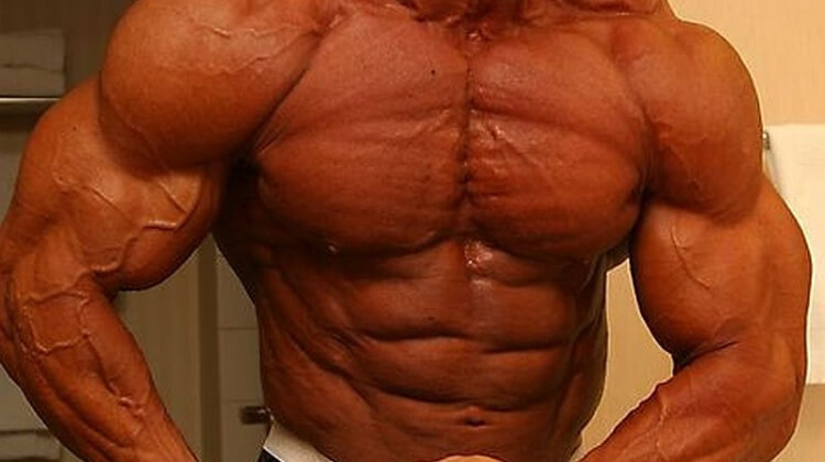 Efectividad de los Esteroides Anabólicos en el Incremento de Diferentes Grupos Musculares