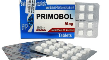El Ciclo Perfecto Usando Solo Esteroides Anabólicos Orales