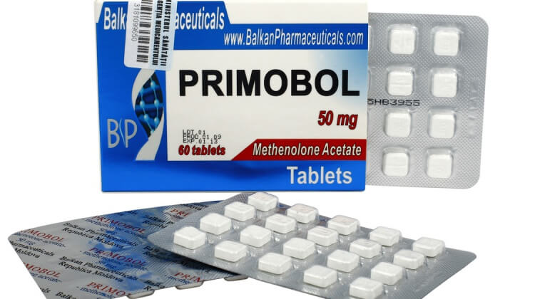 El Ciclo Perfecto Usando Solo Esteroides Anabólicos Orales