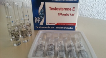 El Ciclo Perfecto de Testosterona – Las Mejores Opciones de Esteroides y Complementos para Incluir